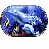 Dolphins Downunder Placemat